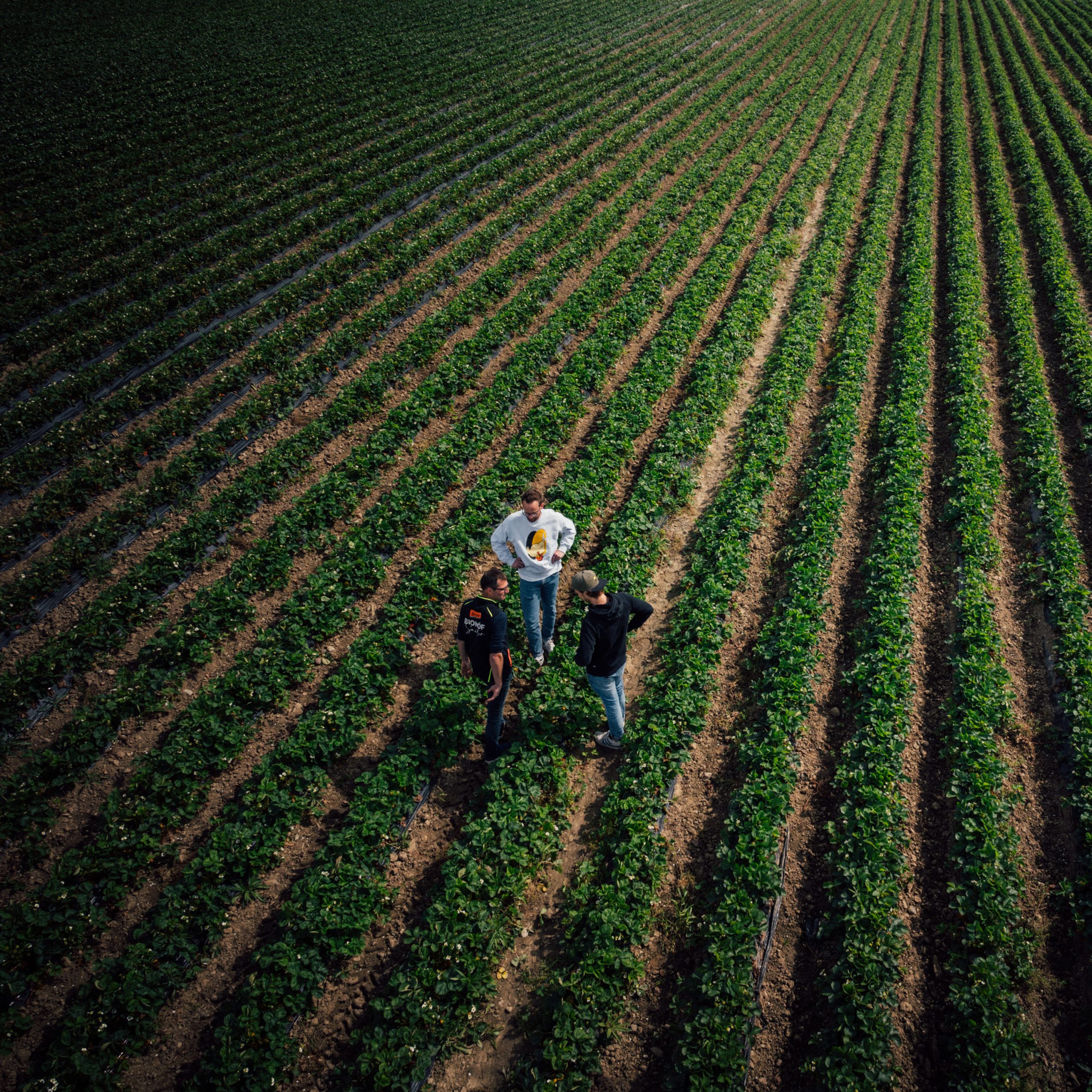 DJI_0465